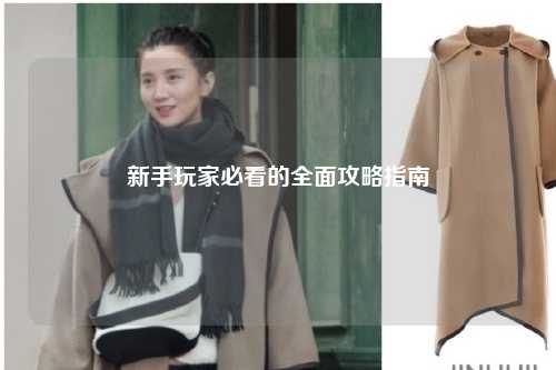 新手玩家必看的全面攻略指南