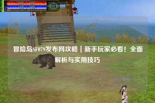冒险岛SF079发布网攻略|新手玩家必看!全面解析与实用技巧