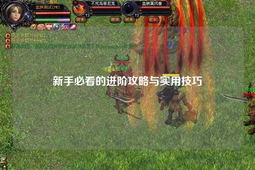 新手必看的进阶攻略与实用技巧