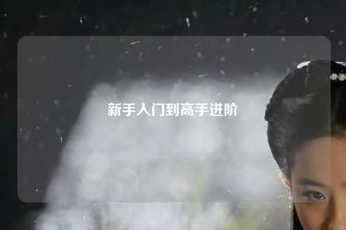新手入门到高手进阶