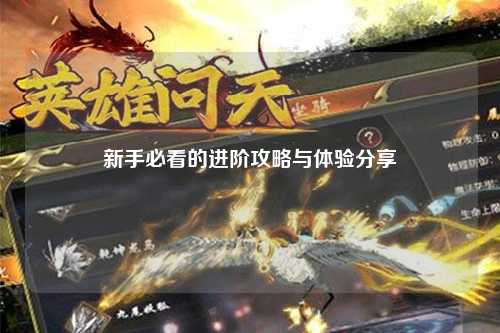 新手必看的进阶攻略与体验分享