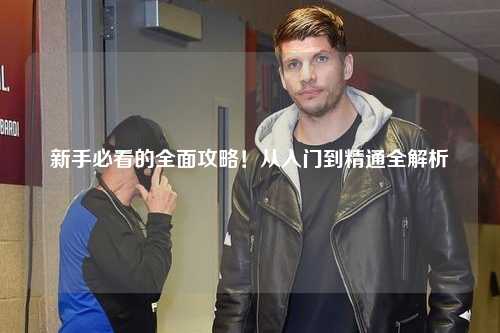 新手必看的全面攻略!从入门到精通全解析