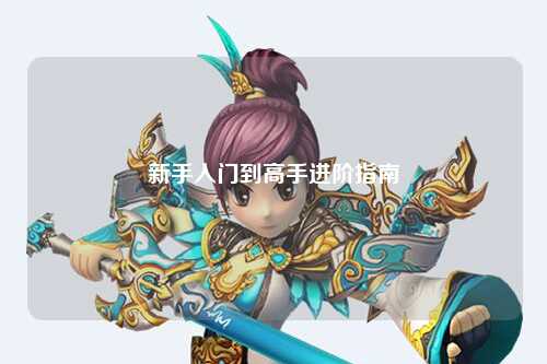 新手入门到高手进阶指南