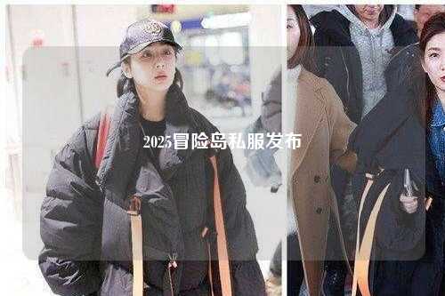 2025冒险岛私服发布