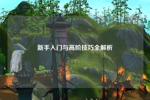 新手入门与高阶技巧全解析
