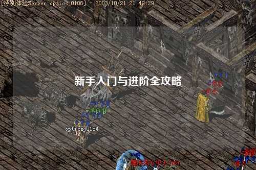 新手入门与进阶全攻略
