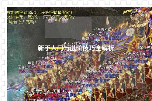 新手入门与进阶技巧全解析