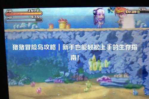 猪猪冒险岛攻略|新手也能轻松上手的生存指南!