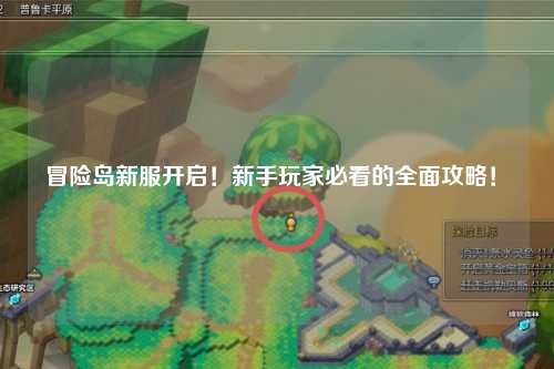冒险岛新服开启!新手玩家必看的全面攻略!✨