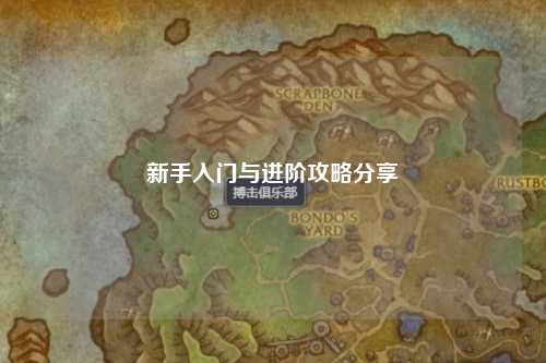 新手入门与进阶攻略分享