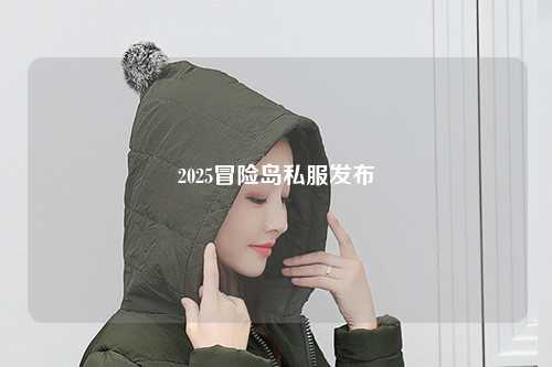 2025冒险岛私服发布