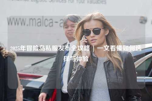 2025年冒险岛私服发布全攻略 | 一文看懂如何选择与体验