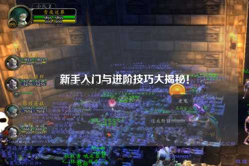 新手入门与进阶技巧大揭秘!