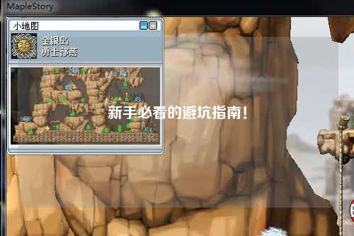 新手必看的避坑指南!