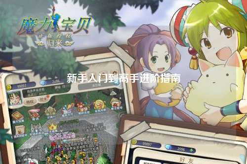 新手入门到高手进阶指南