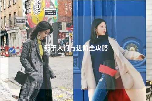 新手入门与进阶全攻略