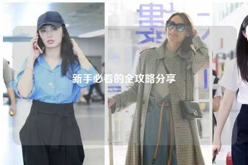 新手必看的全攻略分享