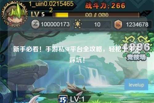 新手必看!手游私SF平台全攻略,轻松上手不踩坑!