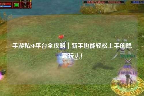 手游私SF平台全攻略|新手也能轻松上手的隐藏玩法!