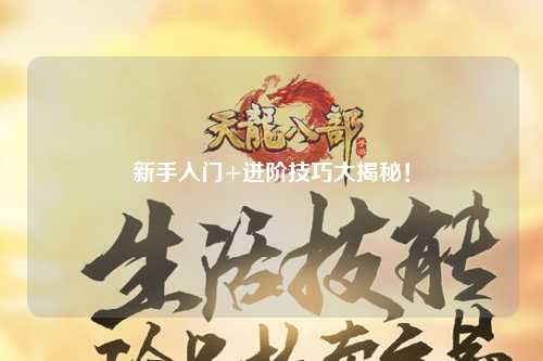 新手入门+进阶技巧大揭秘!