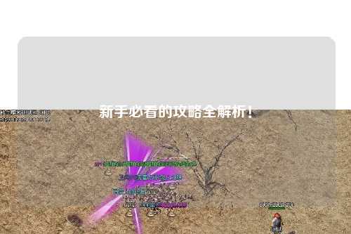 新手必看的攻略全解析!