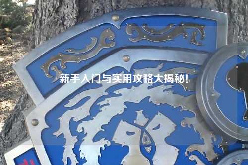 新手入门与实用攻略大揭秘!