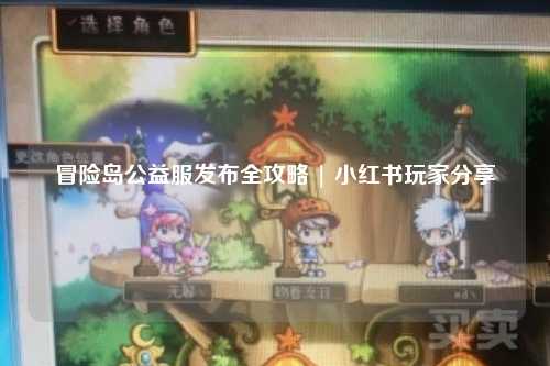 冒险岛公益服发布全攻略 | 小红书玩家分享