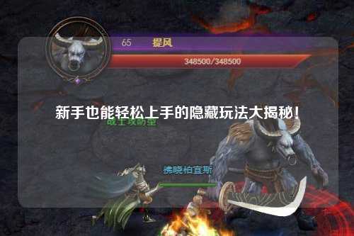 新手也能轻松上手的隐藏玩法大揭秘!