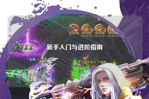 新手入门与进阶指南