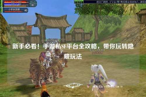 新手必看!手游私SF平台全攻略,带你玩转隐藏玩法