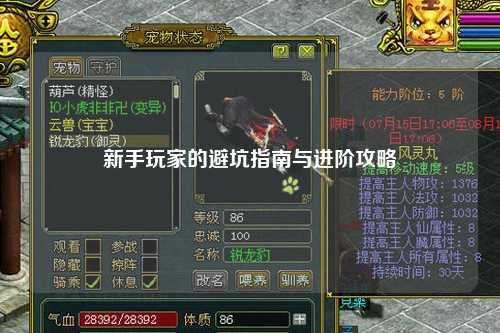 新手玩家的避坑指南与进阶攻略