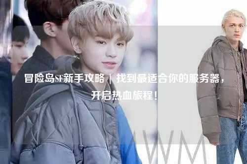 冒险岛SF新手攻略 | 找到最适合你的服务器,开启热血旅程!