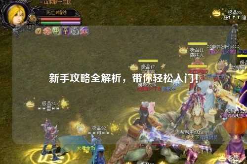 新手攻略全解析,带你轻松入门!