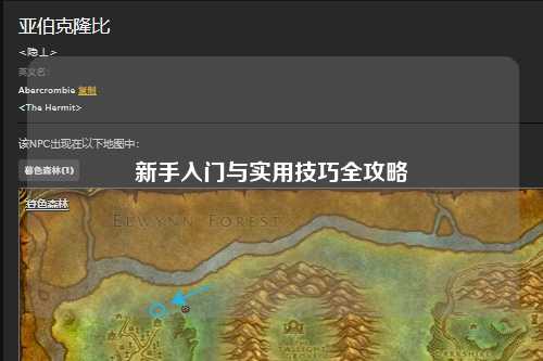 新手入门与实用技巧全攻略