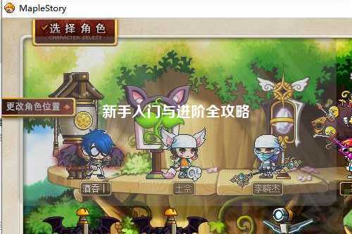 新手入门与进阶全攻略