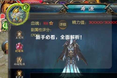 新手必看,全面解析!