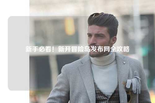 新手必看!新开冒险岛发布网全攻略