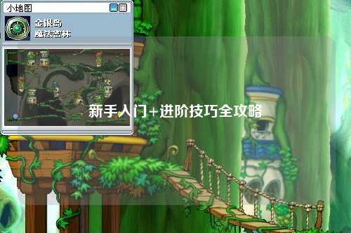 新手入门+进阶技巧全攻略