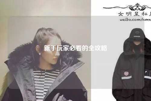 新手玩家必看的全攻略