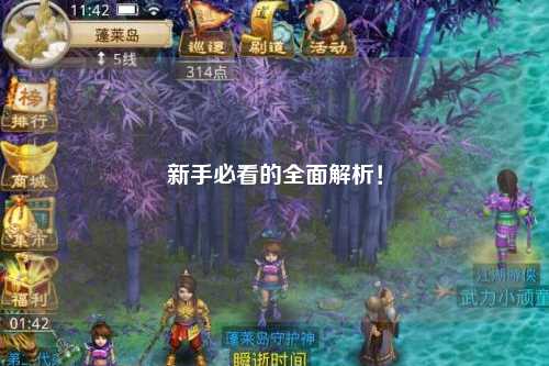 新手必看的全面解析!