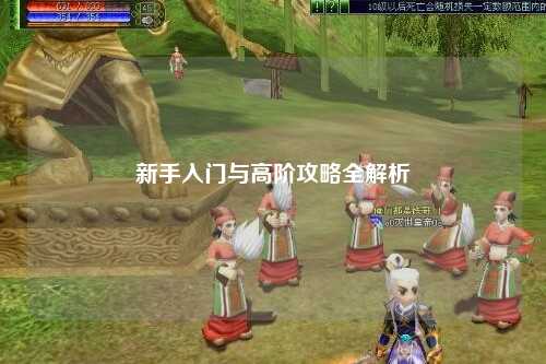 新手入门与高阶攻略全解析
