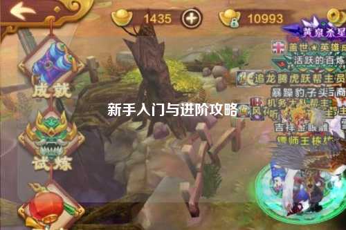 新手入门与进阶攻略