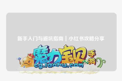 新手入门与避坑指南|小红书攻略分享