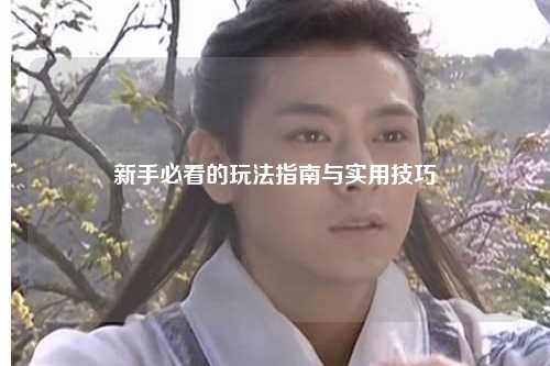 新手必看的玩法指南与实用技巧