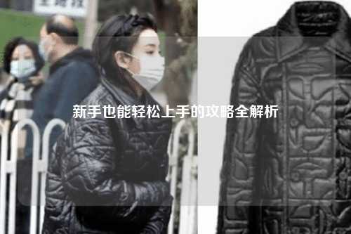 新手也能轻松上手的攻略全解析