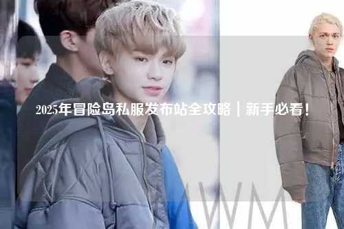 2025年冒险岛私服发布站全攻略|新手必看!