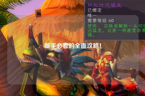 新手必看的全面攻略!