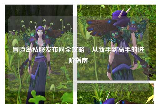 冒险岛私服发布网全攻略 | 从新手到高手的进阶指南