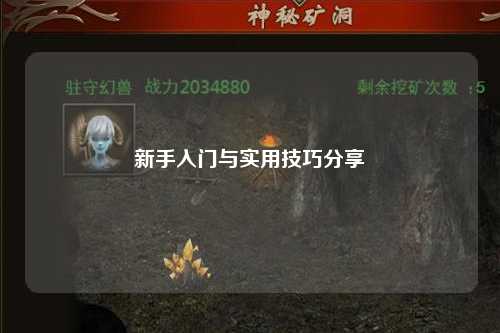 新手入门与实用技巧分享