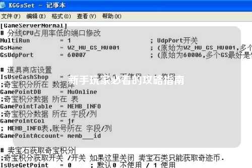 新手玩家必看的攻略指南
